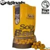 Bouillettes Solar Top Banana 20mm 1kg -Magasin De Pêche ca090fb5b0d60ee80dd1d1c21c1c997ccd588c44 pr 31348 g 242940g